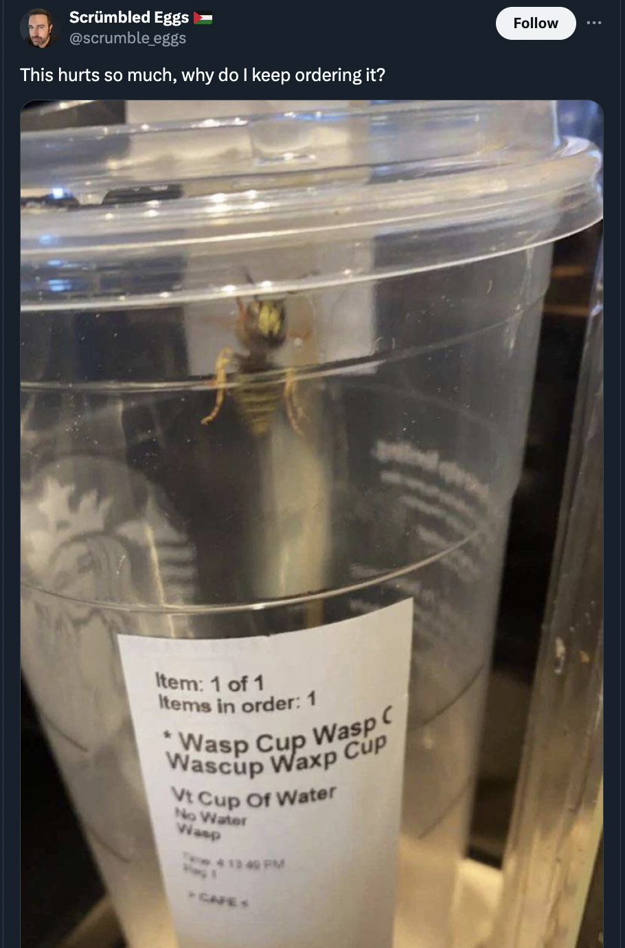 starbucks wasp cup - Scrambled Eggs eggs This hurts so much, why do I keep ordering it? Item 1 of 1 Items in order 1 Wasp Cup Wasp C Wascup Waxp Cup V Cup Of Water No Water